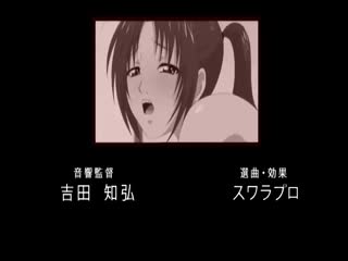 [Pashmina]ハンン ～スケなイケナイ私のナカに、いっぱい精液そそいで下さいっ…!! ～