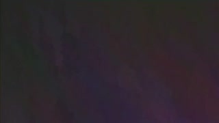 白鹭全2